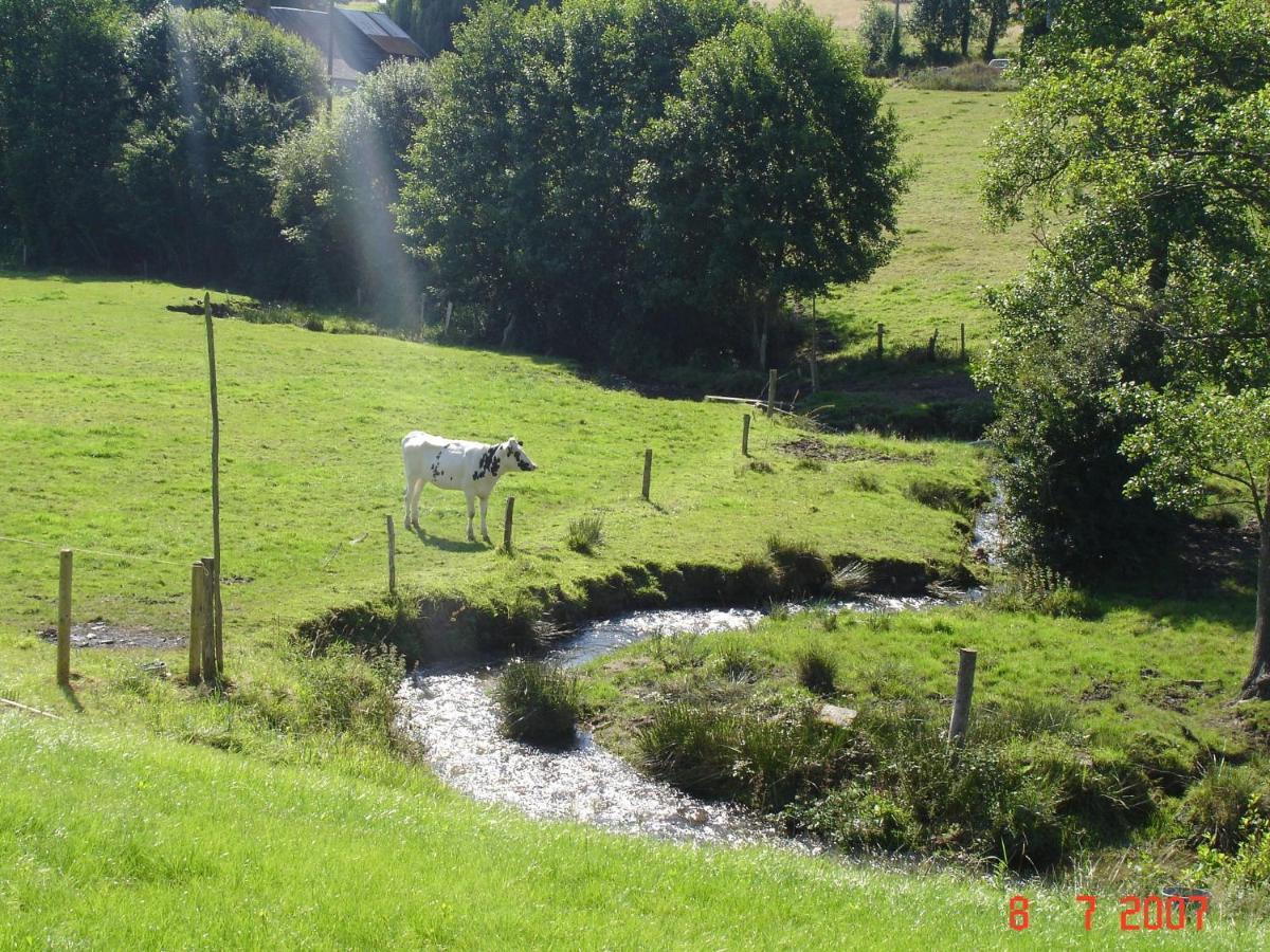 Cosy Chalet With Private Garden In Normandy Isigny-le-Buat Zimmer foto