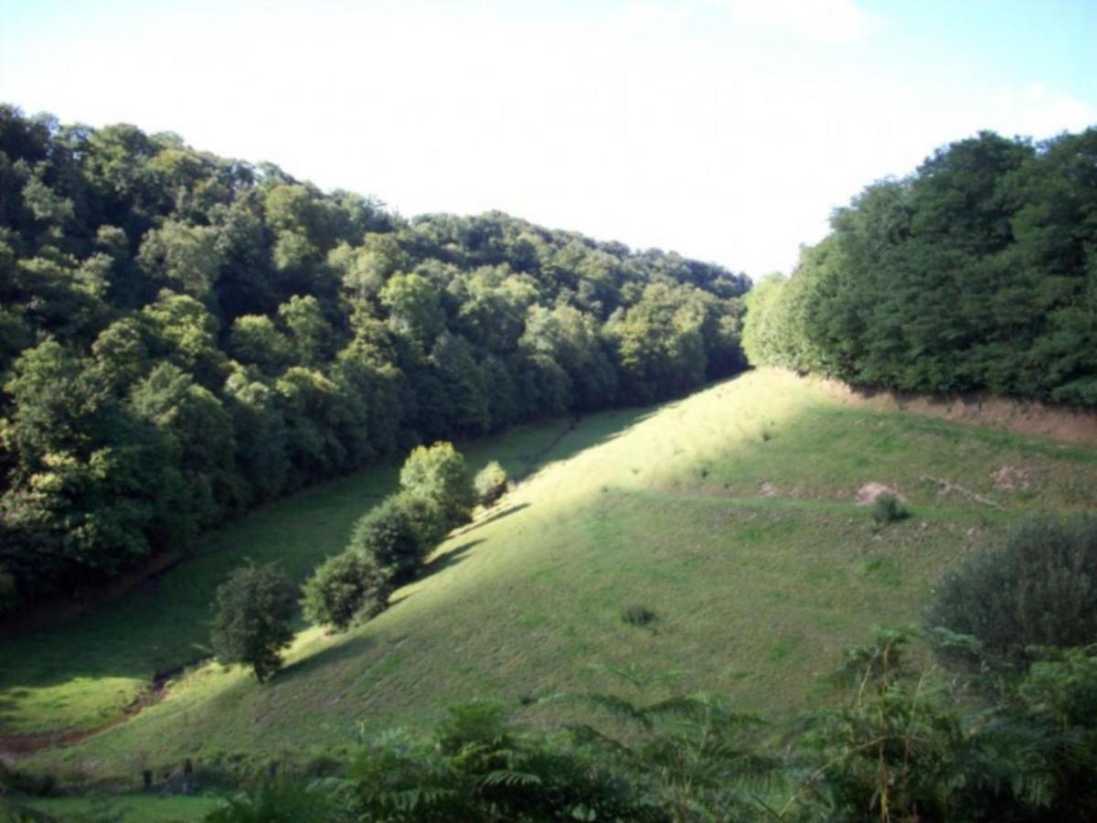 Cosy Chalet With Private Garden In Normandy Isigny-le-Buat Zimmer foto